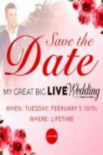 Watch My Great Big Live Wedding with David Tutera Niter