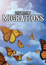 Watch Secret Migrations Niter