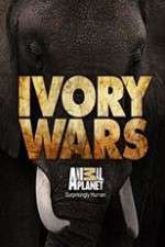 Watch Ivory Wars Niter