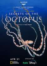 Secrets of the Octopus niter