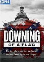 Watch Downing of a Flag Niter