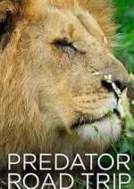 Watch Predator Road Trip Niter