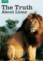 Watch The Truth About Lions Niter