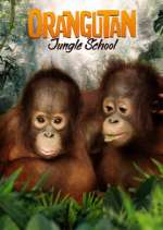 Watch Orangutan Jungle School Niter
