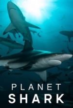 planet shark tv poster