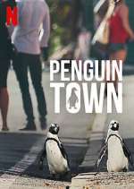 Watch Penguin Town Niter