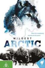 Watch Wildest Arctic Niter