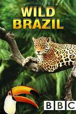 Watch Wild Brazil Niter