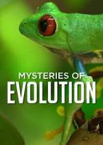 Watch Mysteries of Evolution Niter