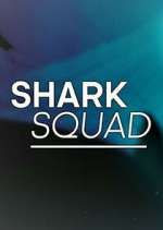 Watch Shark Squad Niter