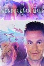 Watch The Wonder of Animals Niter