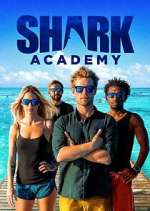 Watch Shark Academy Niter