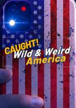 Watch Wild & Weird America Niter