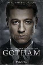 Watch Gotham Niter