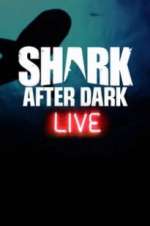 shark after dark tv poster