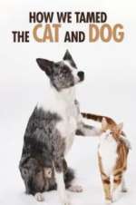 Watch How We Tamed the Cat and Dog Niter