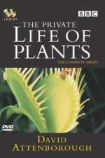 Watch The Private Life of Plants Niter