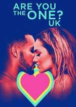 are you the one? uk tv poster