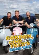 gordon, gino and fred's road trip tv poster