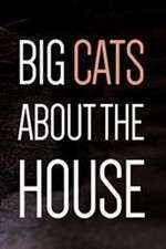 Watch Big Cats About the House Niter
