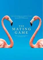 Watch The Mating Game Niter