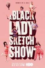 Watch A Black Lady Sketch Show Niter