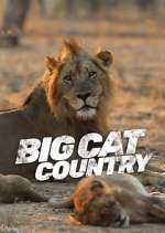 Watch Big Cat Country Niter