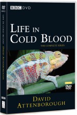 Watch Life in Cold Blood Niter