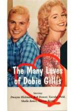 Watch The Many Loves of Dobie Gillis Niter