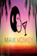 Watch Miami Monkey Niter