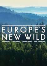 Watch Europe's New Wild Niter