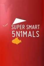 Watch Super Smart Animals Niter