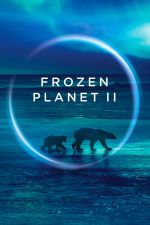 Watch Frozen Planet II Niter