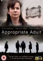 Watch Appropriate Adult Niter