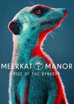 Watch Meerkat Manor: Rise of the Dynasty Niter