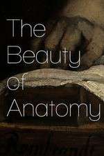 Watch The Beauty of Anatomy Niter