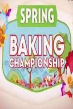 Spring Baking Championship niter