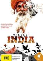 Watch Wildest India Niter