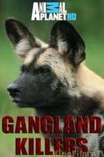 Watch Gangland Killers Niter