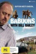 Watch Baboons with Bill Bailey Niter