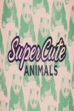 Watch Super Cute Animals Niter