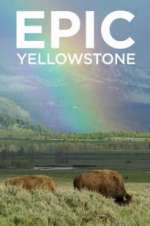 Watch Epic Yellowstone Niter