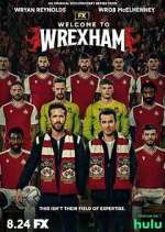 Watch Welcome to Wrexham Niter