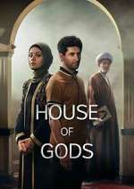house of gods tv poster