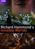 Watch Richard Hammond's Invisible Worlds Niter