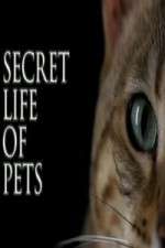 Watch The Secret Life of Pets Niter
