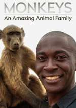 Watch Monkeys: An Amazing Animal Family Niter