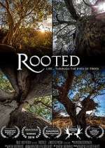 rooted tv poster