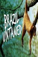 Watch Brazil Untamed Niter