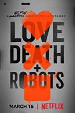 Watch Love, Death & Robots Niter